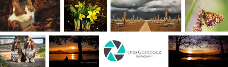Bildauswahl und Logo von Otto Gombocz – Photography: Tier-, Pflanzen- und Landschaftsaufnahmen